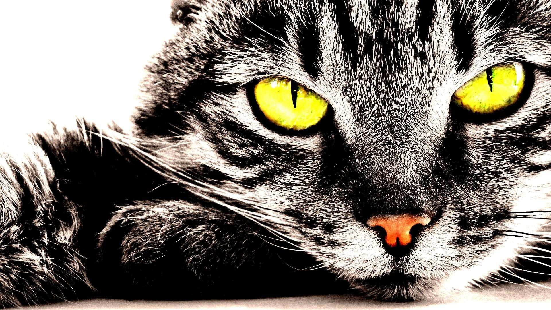 Beautiful Full HD Wallpapers 1920 x 1080 Beautiful Full HD Wallpapers 1920 x 1080