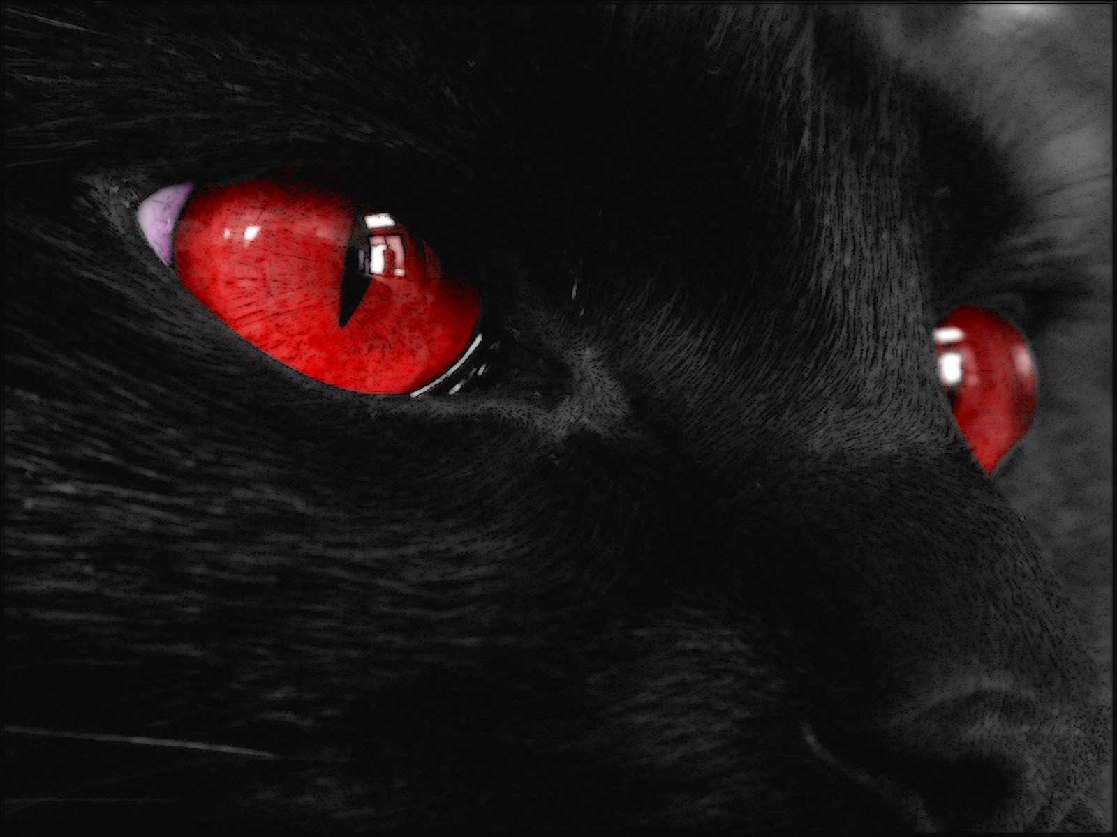 38 Red Eye Wallpaper 38 Red Eye Wallpaper