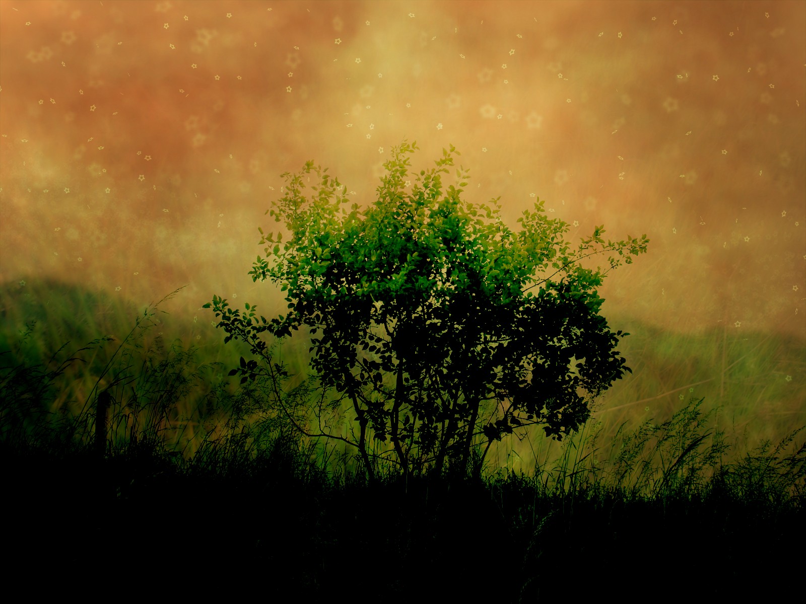 The Unofficial Ubuntu Wallpaper Archive The Unofficial Ubuntu Wallpaper Archive
