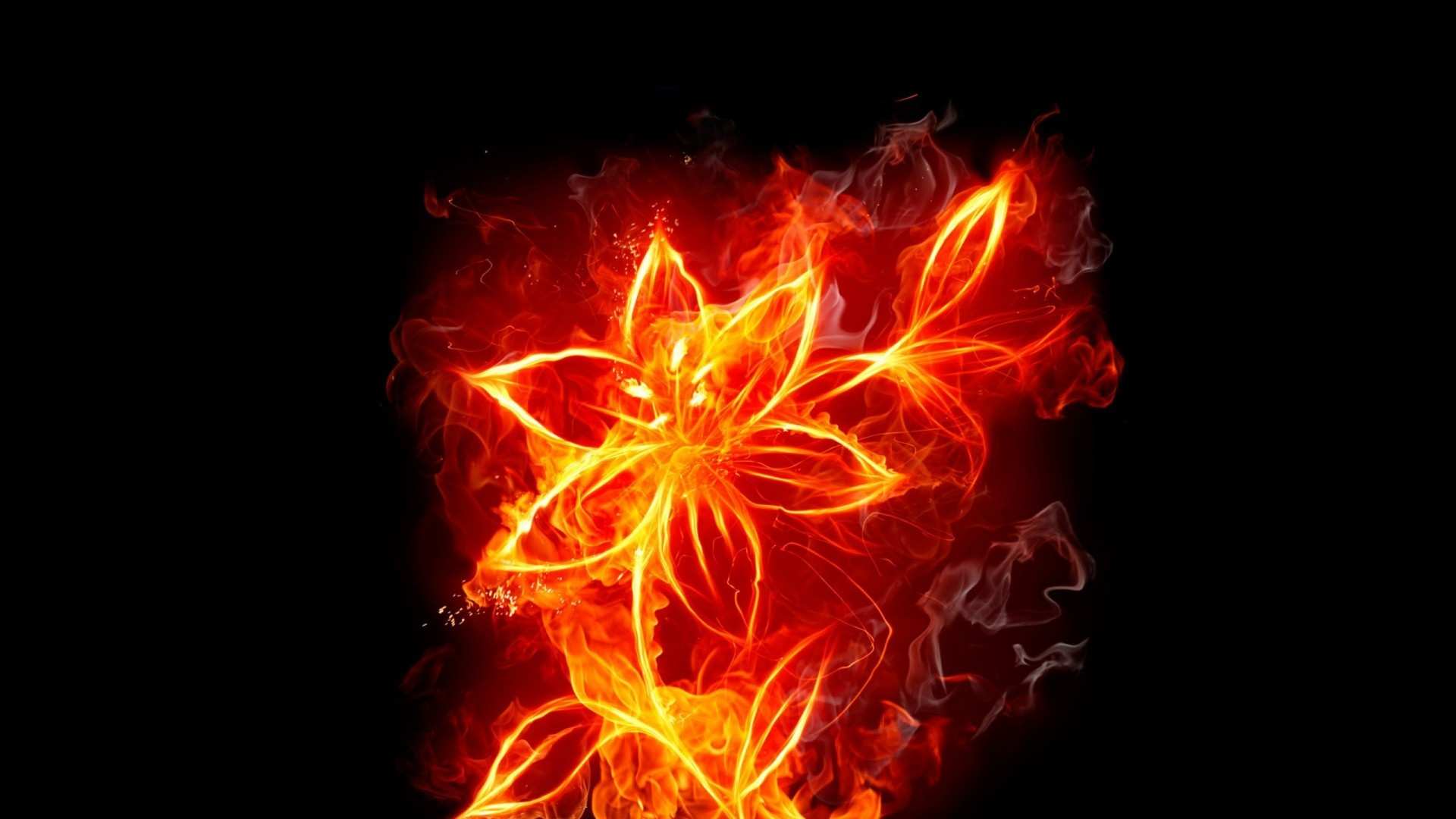 The Fire Ubuntu Wallpaper Best Of Simplywallpapers Abstract Black Background Fire Fire Flower Of 20 Unique the Fire Ubuntu Wallpaper
