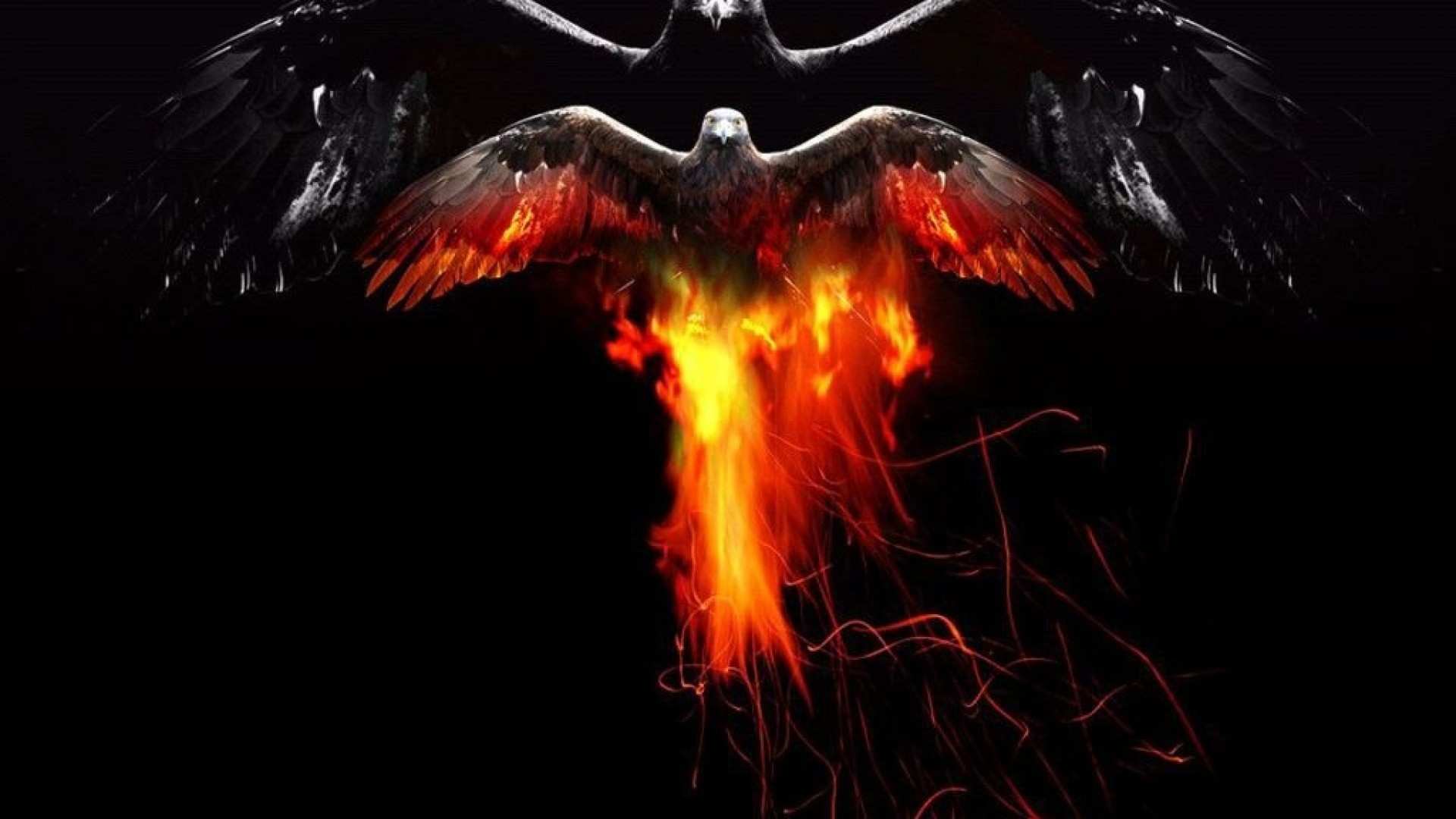 ScreenHeaven Bird of fire sky eagle desktop and mobile background ScreenHeaven Bird of fire sky eagle desktop and mobile background