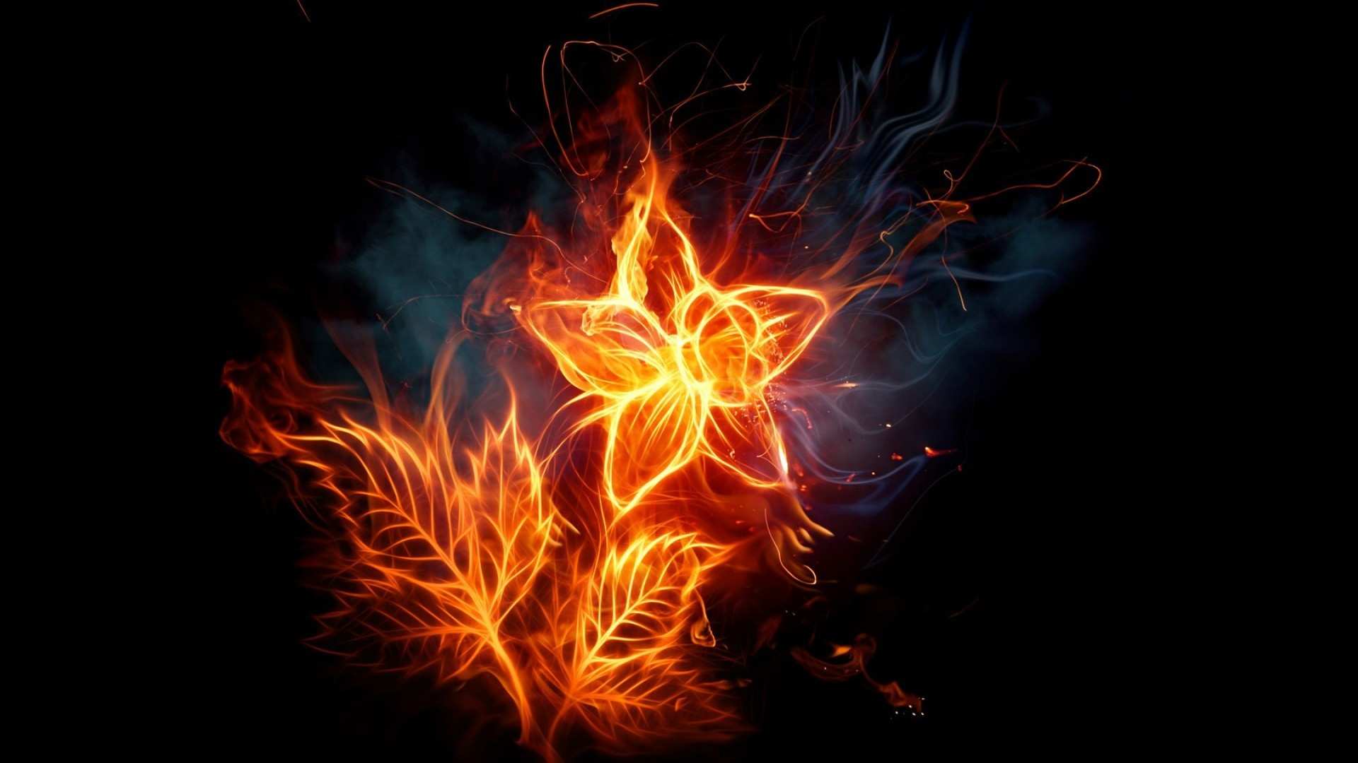 ScreenHeaven Black background blue fire fire flower flame desktop ScreenHeaven Black background blue fire fire flower flame desktop