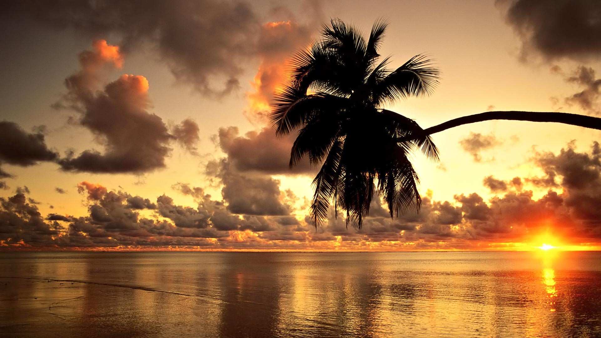 Pretty Wallpaper for Linux Lovely Hd Wallpapers Page 1 Of 10 Best Of Pretty Wallpaper for Linux Pretty Wallpaper for Linux Lovely Hd Wallpapers Page 1 Of 10 Best Of Pretty Wallpaper for Linux