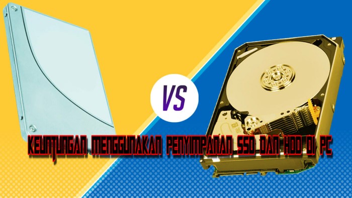 Keuntungan Menggunakan Penyimpanan SSD Dan HDD di PC